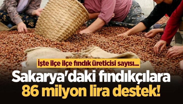 Sakarya’daki fındıkçılara 86 milyon lira destek! İşte ilçe ilçe fındık üreticisi sayısı…